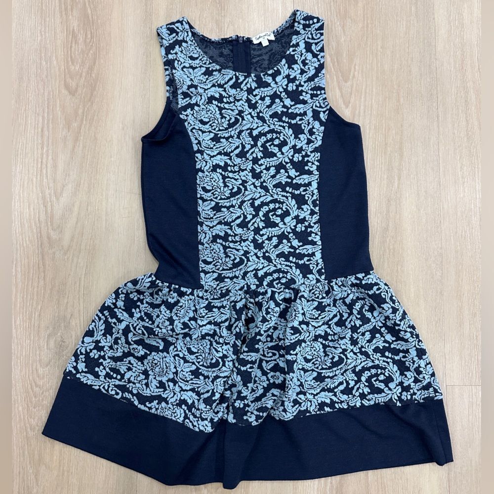 Splendid Blue and White Dress